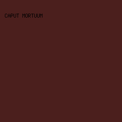 4b1f1d - Caput Mortuum color image preview