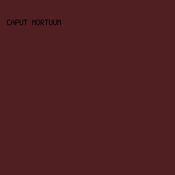 501F22 - Caput Mortuum color image preview