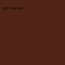 502417 - Caput Mortuum color image preview