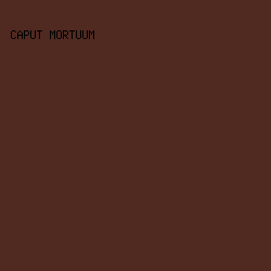 502921 - Caput Mortuum color image preview