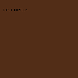 522D17 - Caput Mortuum color image preview