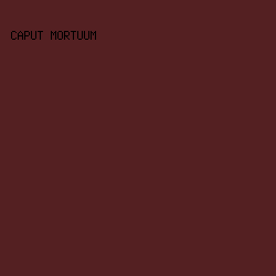 542022 - Caput Mortuum color image preview