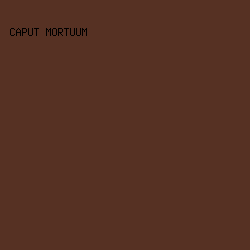 563123 - Caput Mortuum color image preview