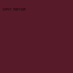 581a26 - Caput Mortuum color image preview