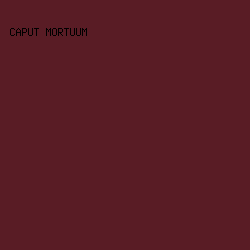 591C25 - Caput Mortuum color image preview