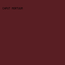 591e23 - Caput Mortuum color image preview