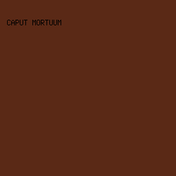 5A2916 - Caput Mortuum color image preview