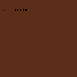 5B2E19 - Caput Mortuum color image preview