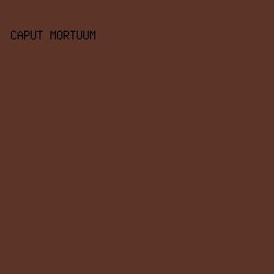 5C3428 - Caput Mortuum color image preview