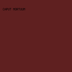 5F2020 - Caput Mortuum color image preview