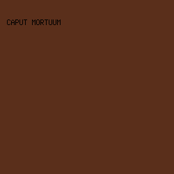 5a2f1b - Caput Mortuum color image preview