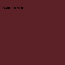 5b2127 - Caput Mortuum color image preview