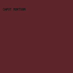 5d252a - Caput Mortuum color image preview