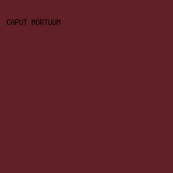 602025 - Caput Mortuum color image preview