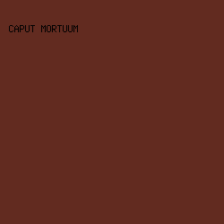 622B20 - Caput Mortuum color image preview