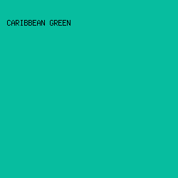07BD9F - Caribbean Green color image preview