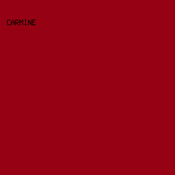 960213 - Carmine color image preview
