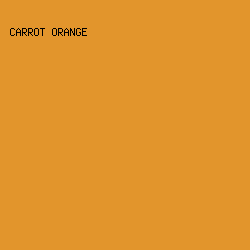 E2952C - Carrot Orange color image preview