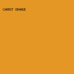E49724 - Carrot Orange color image preview