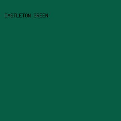 065d44 - Castleton Green color image preview