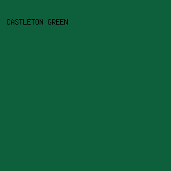 0E603D - Castleton Green color image preview