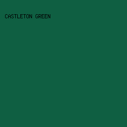0F5F42 - Castleton Green color image preview