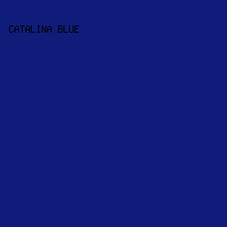 0F1C79 - Catalina Blue color image preview