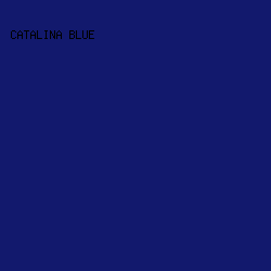 12196D - Catalina Blue color image preview