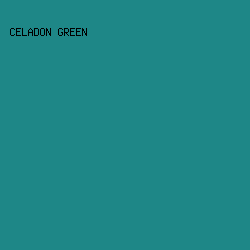 1E8787 - Celadon Green color image preview