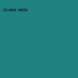1F8181 - Celadon Green color image preview