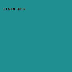 208f91 - Celadon Green color image preview