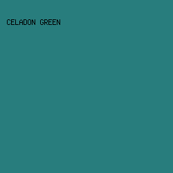 287d7d - Celadon Green color image preview