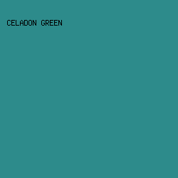 2D8B8B - Celadon Green color image preview