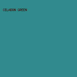 2F8A8B - Celadon Green color image preview