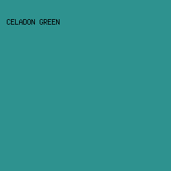 2e928f - Celadon Green color image preview