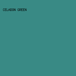 398A85 - Celadon Green color image preview