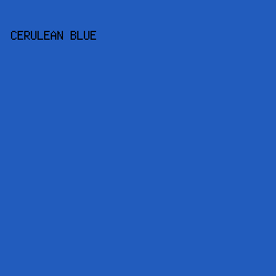 225cbd - Cerulean Blue color image preview