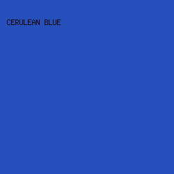 254fbb - Cerulean Blue color image preview
