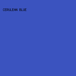3B53BF - Cerulean Blue color image preview
