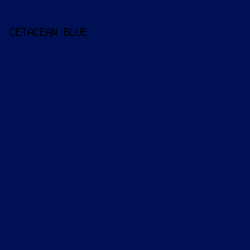 001055 - Cetacean Blue color image preview