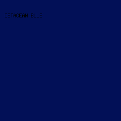 021057 - Cetacean Blue color image preview