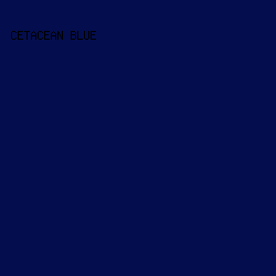 040e4e - Cetacean Blue color image preview