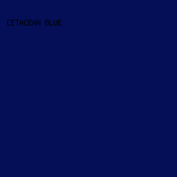 040f57 - Cetacean Blue color image preview