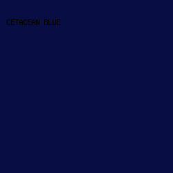 080d43 - Cetacean Blue color image preview