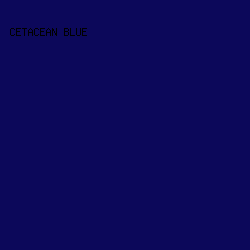 0C085A - Cetacean Blue color image preview