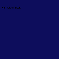 0D0D5C - Cetacean Blue color image preview