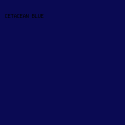 0a0a53 - Cetacean Blue color image preview