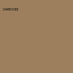 9D7F5E - Chamoisee color image preview
