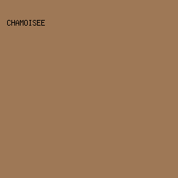 9e7856 - Chamoisee color image preview