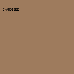 9e7b5d - Chamoisee color image preview